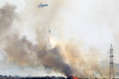 Τεράστια η καταστροφή από την πυρκαγιά στο Πεδίο Βολής Γουβών - Δείτε φωτογραφίες - Φωτογραφία 2