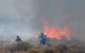 Τεράστια η καταστροφή από την πυρκαγιά στο Πεδίο Βολής Γουβών - Δείτε φωτογραφίες