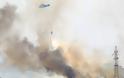 Τεράστια η καταστροφή από την πυρκαγιά στο Πεδίο Βολής Γουβών - Δείτε φωτογραφίες - Φωτογραφία 2