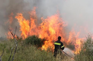 Αχαΐα - τώρα: Πυρκαγιά σε καλαμιές στο Σταυροδρόμι Τριταίας - Φωτογραφία 1