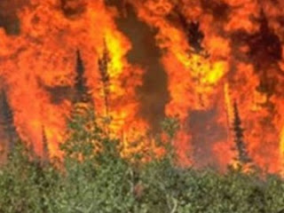 Kαίγονται σπίτια στο Μαρκόπουλο - Φωτογραφία 1