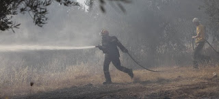 Έκαψε σπίτια η φωτιά στο Μαρκόπουλο - Απειλεί το δάσος Κουβαρά - Eκκενώθηκε κατασκήνωση - Φωτογραφία 1