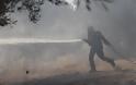 Έκαψε σπίτια η φωτιά στο Μαρκόπουλο - Απειλεί το δάσος Κουβαρά - Eκκενώθηκε κατασκήνωση
