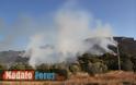 Μαρκόπουλο: Σε Ύφεση Η Φωτιά- Εντυπωσιακά Πλάνα Από Ρίψεις Νερού [Video] - Φωτογραφία 12