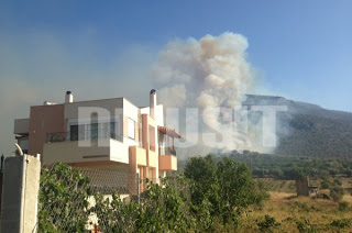 Στάχτη και καμμένα σπίτια αφήνει πίσω της η πυρκαγιά στο Μαρκόπουλο - Τη νύχτα το μεγάλο στοίχημα της Πυροσβεστικής - Δείτε video - Φωτογραφία 1