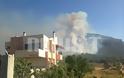 Στάχτη και καμμένα σπίτια αφήνει πίσω της η πυρκαγιά στο Μαρκόπουλο - Τη νύχτα το μεγάλο στοίχημα της Πυροσβεστικής - Δείτε video