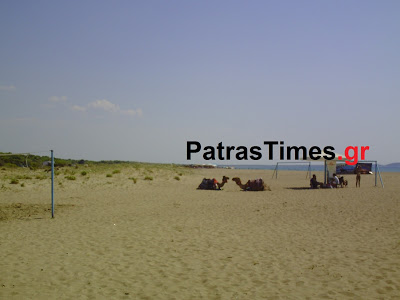 Πάτρα: Για μπάνιο με καμήλες στην παραλία της Kαλογριάς [video] - Φωτογραφία 3