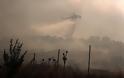 Πυρκαγιά σε δασική έκταση στον Κάβο Ισθμίων στην Κόρινθο