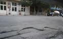 Πανικός με δίμετρο φίδι στο κέντρο της πόλης των Τρικάλων