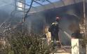 Κάηκαν σπίτια στον Mαραθώνα - Η φωτιά ξέσπασε, όταν τζιπ του λιμενικού έπεσε σε κολώνα της ΔΕΗ - Σε ύφεση τώρα η πυρκαγιά