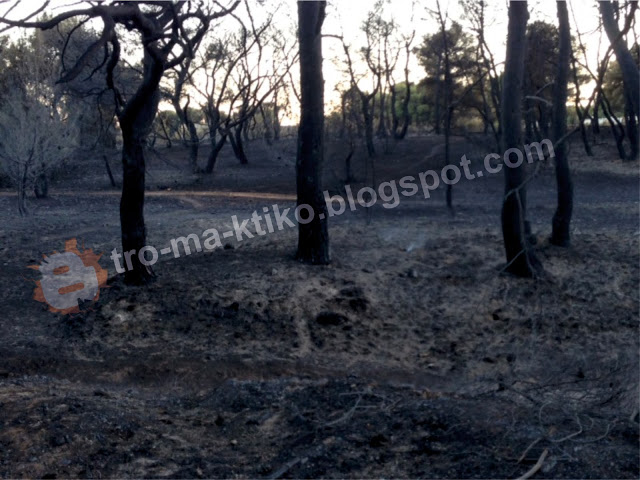 ΣΟΚ: Η επόμενη μέρα μετά τη μεγάλη φωτιά στη Βαρυμπόμπη - Φωτογραφία 8