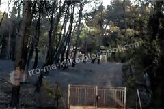 ΣΟΚ: Η επόμενη μέρα μετά τη μεγάλη φωτιά στη Βαρυμπόμπη