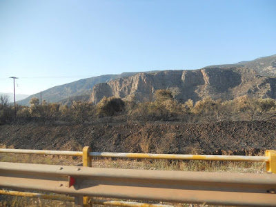 Καμένη γη άφησε στο πέρασμα της η φωτιά στην Ιτέα - Φωτογραφία 7