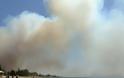 H Έλλη Κοκκίνου «ανεβάζει» φωτογραφίες από τη φωτιά στην Πελοπόννησο - Φωτογραφία 1