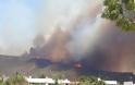 H Έλλη Κοκκίνου «ανεβάζει» φωτογραφίες από τη φωτιά στην Πελοπόννησο - Φωτογραφία 3
