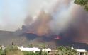 H Έλλη Κοκκίνου «ανεβάζει» φωτογραφίες από τη φωτιά στην Πελοπόννησο - Φωτογραφία 5