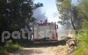 Hλεία: Κάηκαν 20 στρέμματα δάσους στην Κορυφή!