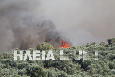 Κράτος ανίκανων...καίει την Ηλεία - Mαίνεται η πυρκαγιά στο Γεράκι - Φωτογραφία 2