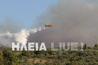 Κράτος ανίκανων...καίει την Ηλεία - Mαίνεται η πυρκαγιά στο Γεράκι - Φωτογραφία 4