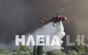 Κράτος ανίκανων...καίει την Ηλεία - Mαίνεται η πυρκαγιά στο Γεράκι