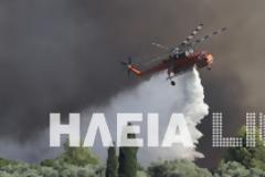 Κράτος ανίκανων...καίει την Ηλεία - Mαίνεται η πυρκαγιά στο Γεράκι