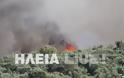 Κράτος ανίκανων...καίει την Ηλεία - Mαίνεται η πυρκαγιά στο Γεράκι - Φωτογραφία 2