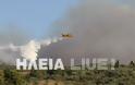 Κράτος ανίκανων...καίει την Ηλεία - Mαίνεται η πυρκαγιά στο Γεράκι - Φωτογραφία 4