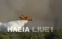 Κράτος ανίκανων...καίει την Ηλεία - Mαίνεται η πυρκαγιά στο Γεράκι - Φωτογραφία 5