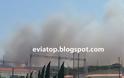 ΤΩΡΑ: Δύο μέτωπα της φωτιάς προς τα εργοστάσια της ΔΕΗ και της ΑΓΕΤ στο Αλιβέρι!