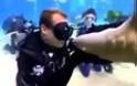 Δύτης επιχείρησε να φιλήσει καρχαρία στο στόμα και κατέληξε με... (video)