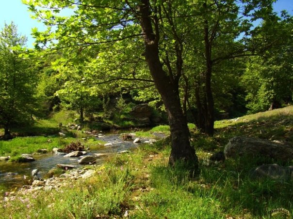 Να διαφημίσουμε την ιδιαίτερη πατρίδα μας, τη Βέργη Βισαλτίας Σερρών - Φωτογραφία 5