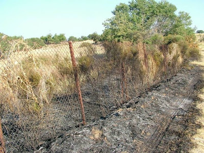 Ξάνθη: Μετέτρεψαν σε σκουπιδότοπο τα Αρχαία Άβδηρα! - Φωτογραφία 4