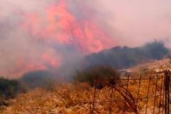 Μέσα στον οικισμό του Άνω Πιτροφού η μεγάλη φωτιά της Άνδρου!