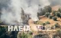 Ηλεία: Ανεξέλεγκτη η μεγάλη πυρκαγιά στο Κλεινδιά - Τραυματίστηκε πυροσβέστης της ΕΜΑK - Φωτογραφία 3
