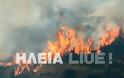 Ηλεία: Ανεξέλεγκτη η μεγάλη πυρκαγιά στο Κλεινδιά - Τραυματίστηκε πυροσβέστης της ΕΜΑK - Φωτογραφία 5