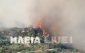 Ηλεία: Ανεξέλεγκτη η μεγάλη πυρκαγιά στο Κλεινδιά - Τραυματίστηκε πυροσβέστης της ΕΜΑK - Φωτογραφία 6