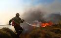 Τραυματίστηκε πυροσβέστης σε φωτιά στην Ηλεία