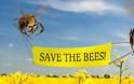 Τι θα συμβεί αν εξαφανιστούν οι μέλισσες;