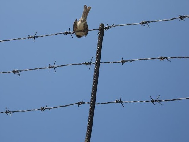 Σπάνια φωτογραφική συλλογή απο τις γυναικείες φυλακές της Ρουμανίας [90 pics] - Φωτογραφία 26