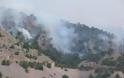 ΧΙΟΣ: Λαθρομετανάστες έκαψαν δάσος για να τους εντοπίσουν