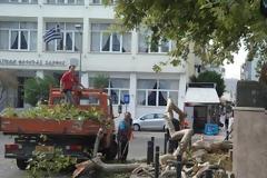 Ξάνθη: Οι ισχυροί άνεμοι έριξαν τον πλάτανο της Κεντρικής Πλατείας [video]