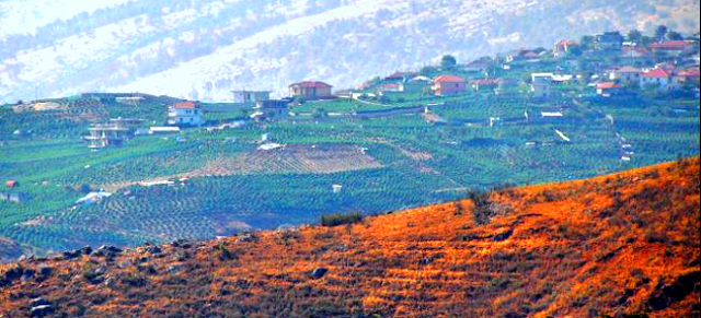 Το αλβανικό χωριό που αποτελεί την πρωτεύουσα της κάνναβης στην Ευρώπη - Το 90% των κατοίκων καλλιεργεί φυτείες - Φωτογραφία 1