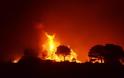 Kόλαση φωτιάς τη νύχτα στην Άνδρο - Εκκενώθηκαν χωριά