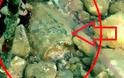 Πάτρα: Χειροβομβίδα του 2ου Παγκοσμίου Πολέμου βρέθηκε σε παραλία