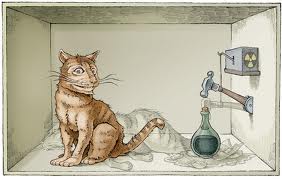 Το παράδοξο της γάτας του Schrödinger (Ι) - Φωτογραφία 1