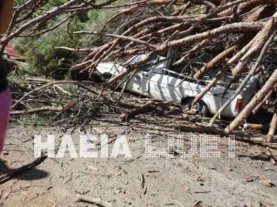 Ηλεία: Δέντρο έλιωσε αυτοκίνητο - Aπό θαύμα δεν θρηνήσαμε θύματα - Φωτογραφία 4