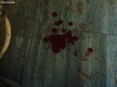 Μυτιλήνη: πυροβόλησε από το μπαλκόνι του τα σκυλιά - Στον Εισαγγελέα ο δράστης - Φωτογραφία 2
