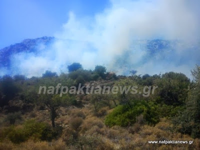 Υπό έλεγχο η φωτιά στην Άνω Βασιλική [Video & Photos] - Φωτογραφία 2