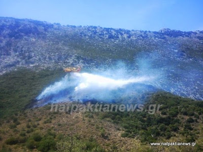 Υπό έλεγχο η φωτιά στην Άνω Βασιλική [Video & Photos] - Φωτογραφία 3