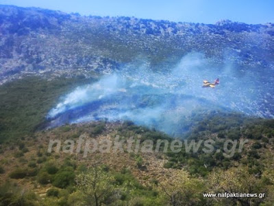 Υπό έλεγχο η φωτιά στην Άνω Βασιλική [Video & Photos] - Φωτογραφία 4